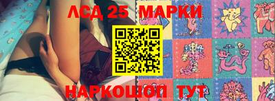 сатива Краснознаменск